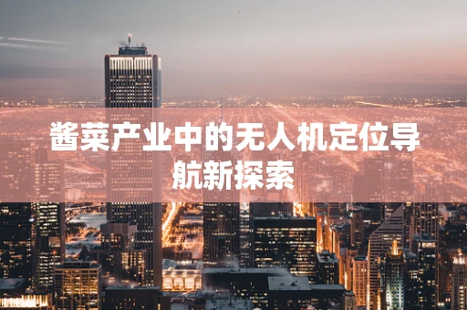 酱菜产业中的无人机定位导航新探索