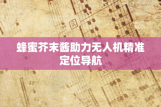 蜂蜜芥末酱助力无人机精准定位导航