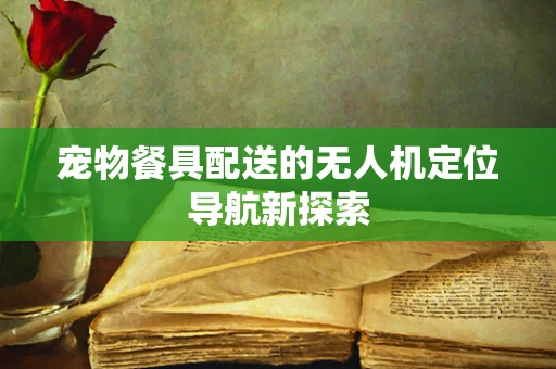宠物餐具配送的无人机定位导航新探索