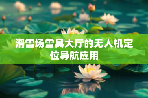 滑雪场雪具大厅的无人机定位导航应用