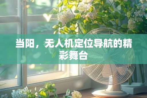 当阳，无人机定位导航的精彩舞台