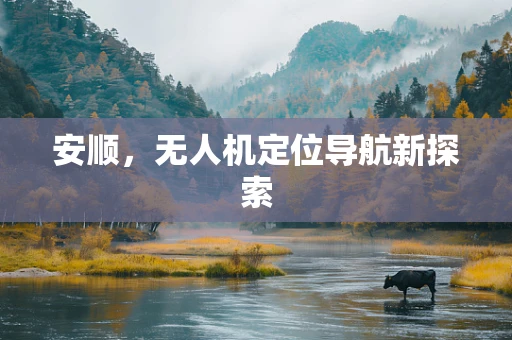 安顺，无人机定位导航新探索
