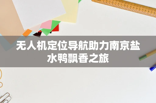 无人机定位导航助力南京盐水鸭飘香之旅