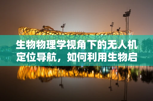 生物物理学视角下的无人机定位导航，如何利用生物启发的算法提升精度？