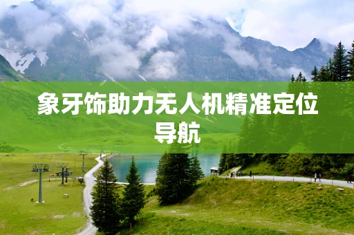 象牙饰助力无人机精准定位导航
