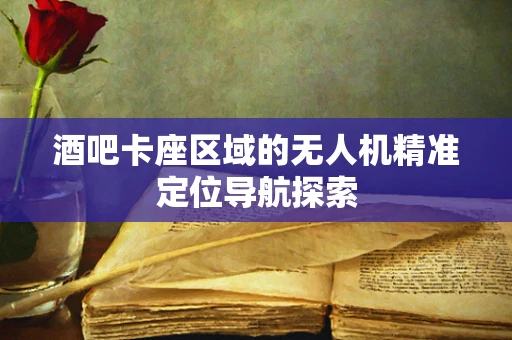 酒吧卡座区域的无人机精准定位导航探索