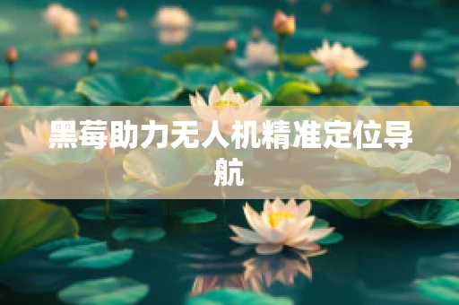 黑莓助力无人机精准定位导航
