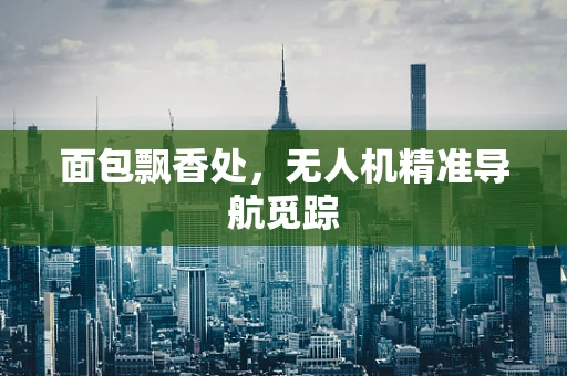 面包飘香处，无人机精准导航觅踪