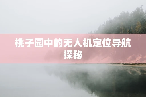 桃子园中的无人机定位导航探秘