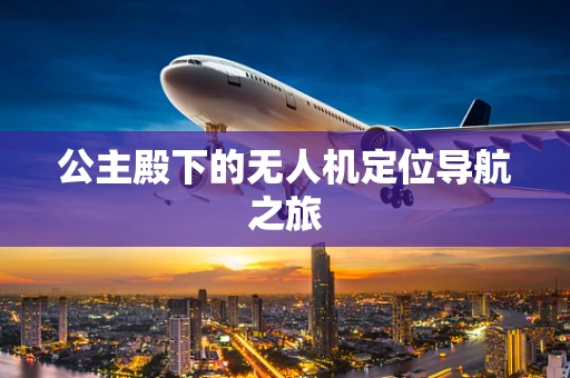 公主殿下的无人机定位导航之旅