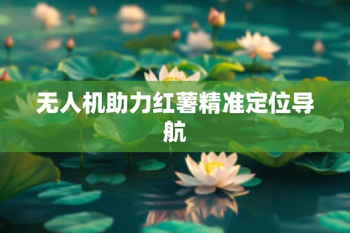 无人机助力红薯精准定位导航