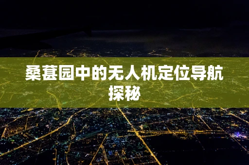 桑葚园中的无人机定位导航探秘
