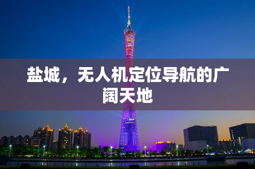 盐城，无人机定位导航的广阔天地