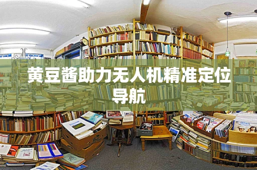 黄豆酱助力无人机精准定位导航