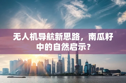 无人机导航新思路，南瓜籽中的自然启示？