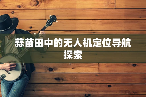蒜苗田中的无人机定位导航探索