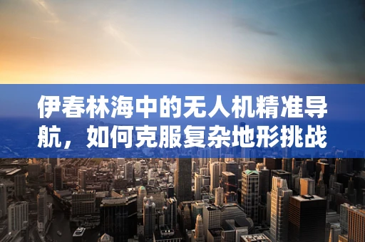 伊春林海中的无人机精准导航，如何克服复杂地形挑战？
