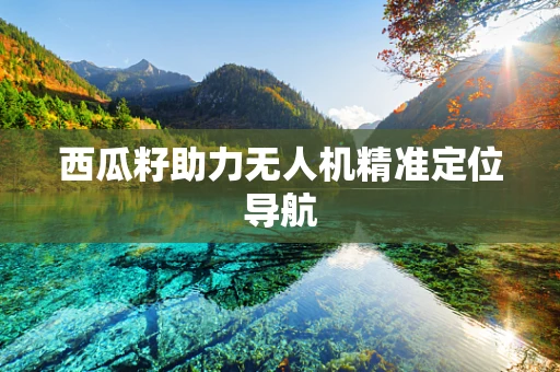 西瓜籽助力无人机精准定位导航
