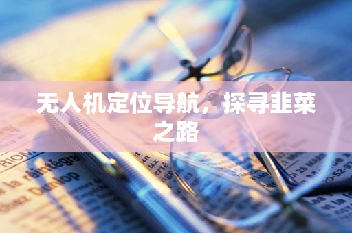 无人机定位导航，探寻韭菜之路