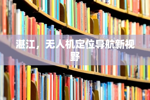 湛江，无人机定位导航新视野