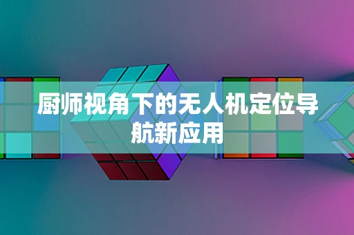 厨师视角下的无人机定位导航新应用