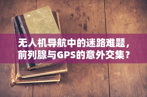 无人机导航中的迷路难题，前列腺与GPS的意外交集？