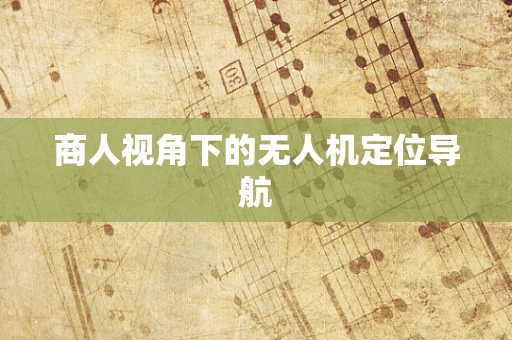 商人视角下的无人机定位导航