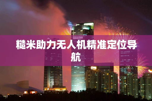糙米助力无人机精准定位导航