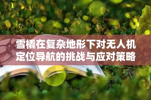 雪橇在复杂地形下对无人机定位导航的挑战与应对策略