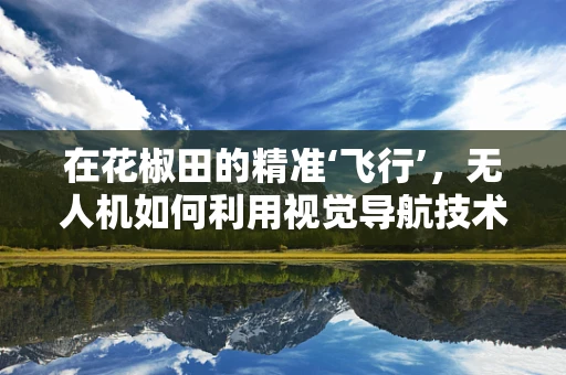 在花椒田的精准‘飞行’，无人机如何利用视觉导航技术精准定位？