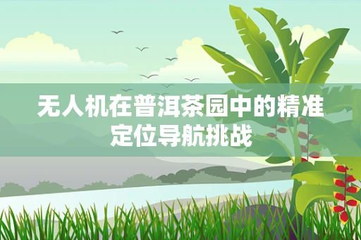无人机在普洱茶园中的精准定位导航挑战