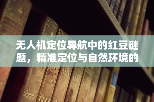 无人机定位导航中的红豆谜题，精准定位与自然环境的微妙平衡
